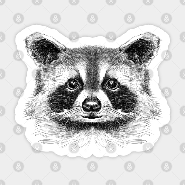 Racoon Sticker by sibosssr